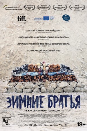 Зимние братья (2017)