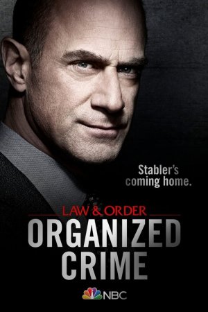 Закон и порядок: организованная преступность (2021, сериал)