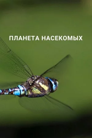 Планета насекомых (2022, сериал)