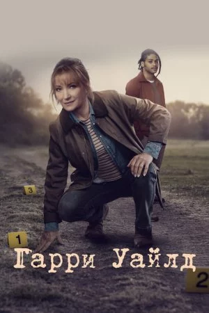 Гарри Уайлд (2022, сериал)